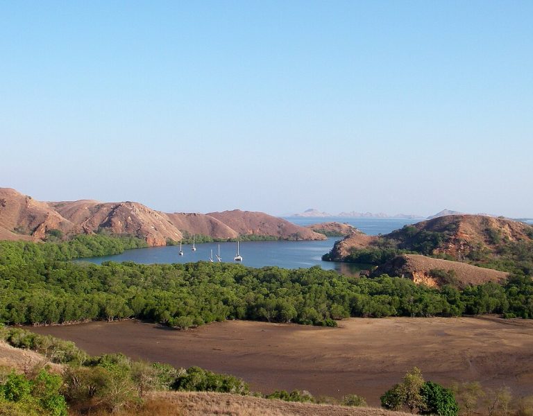 Pulau Komodo
